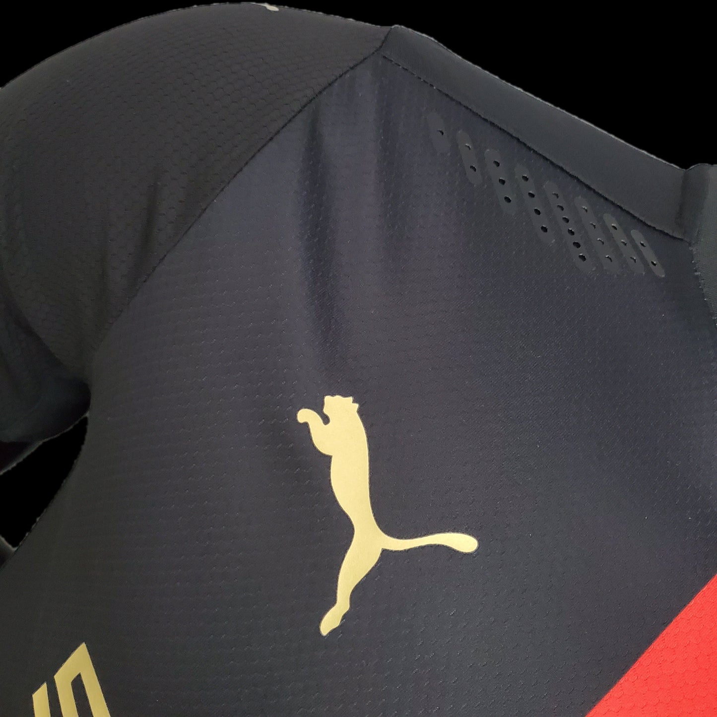 RENNES EDICIÓN ANIVERSARIO 120° 23/24 HOMBRE (VERSIÓN JUGADOR)
