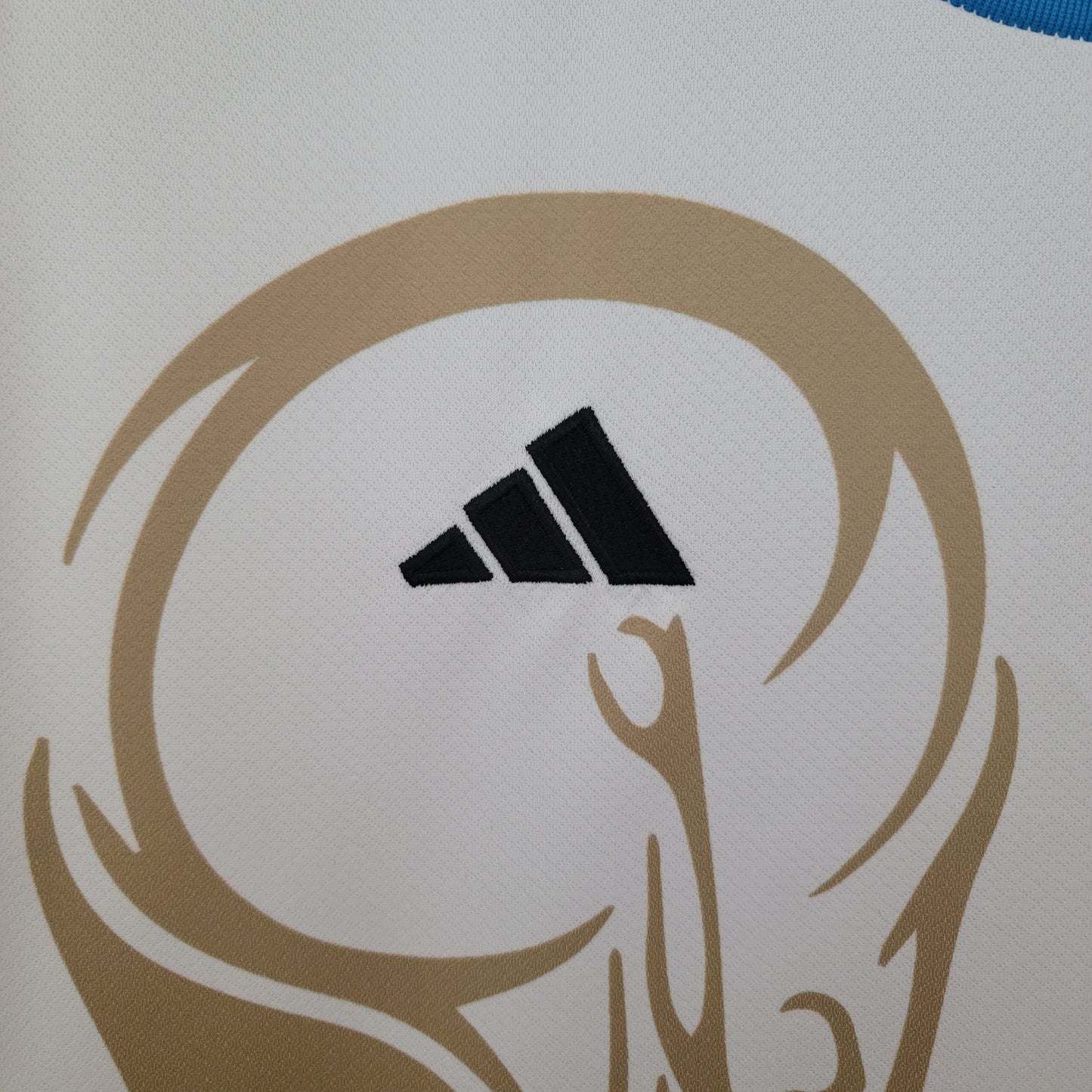 CAMISETA ARGENTINA EDICIÓN COMEMORATIVA II 23/24 HOMBRE