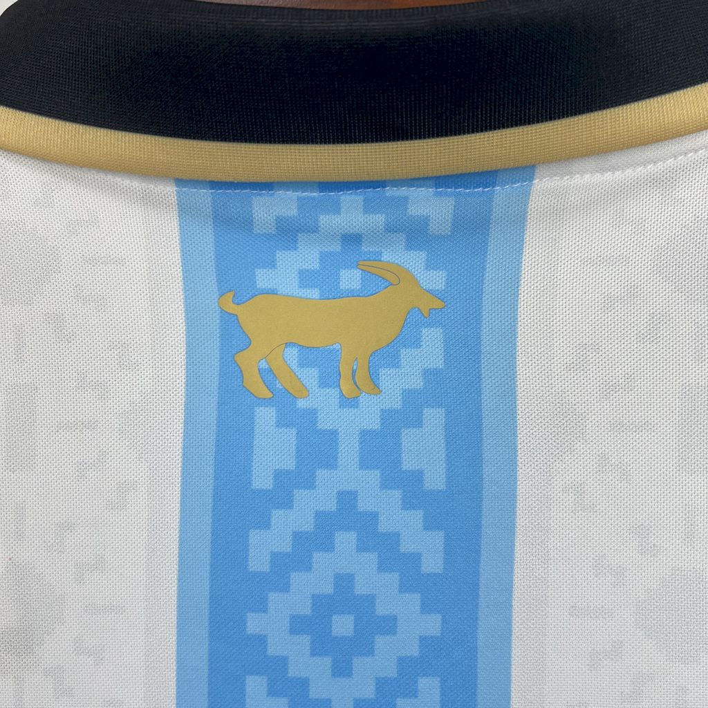 CAMISETA ARGENTINA 2024/25 EDICION ESPECIAL